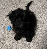 processed/6a35fb34-7fff-4535-8063-b10c5f0625d5/listing/aec711a4-93cf-4eed-a048-026750598e26/660db146-8b87-4430-93c9-e682eae9265e