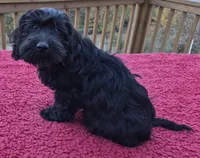 processed/6a35fb34-7fff-4535-8063-b10c5f0625d5/listing/aec711a4-93cf-4eed-a048-026750598e26/873b5fc9-121a-45c1-b3f8-abf4f20a9d68