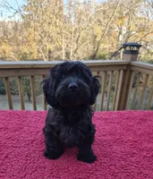 processed/6a35fb34-7fff-4535-8063-b10c5f0625d5/listing/aec711a4-93cf-4eed-a048-026750598e26/87b20ec4-dac8-4cd0-b1b6-a84f33624a6d