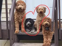 processed/6a35fb34-7fff-4535-8063-b10c5f0625d5/listing/aec711a4-93cf-4eed-a048-026750598e26/c1c1dea8-d83f-4e42-b90a-14c0a2441c51