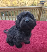 processed/6a35fb34-7fff-4535-8063-b10c5f0625d5/listing/aec711a4-93cf-4eed-a048-026750598e26/ea079d0f-af18-4f23-a8ed-ef3321dc7353