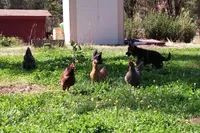 processed/6a3e46c7-8705-40a3-9025-6fe187094f0f/facility/53c31a51-701d-4da3-bf5a-4ae74ff071f8