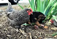 processed/6a3e46c7-8705-40a3-9025-6fe187094f0f/facility/7e5bd5fd-131d-4c16-b420-949dc41a3434