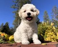 processed/6a3e46c7-8705-40a3-9025-6fe187094f0f/facility/93ee6106-2eba-47ae-a5b8-c05c6562720b