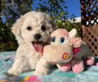 processed/6a3e46c7-8705-40a3-9025-6fe187094f0f/facility/c1a61b0c-6a22-44ce-8c0c-ede88c0b9024