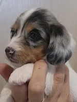 processed/6a403576-fadf-4e6a-b543-a6aab421edbc/listing/1e345c37-4854-497d-a752-1b1d24c73ca7/1aaabe90-b09c-4dcf-b6d8-1f480f12e523