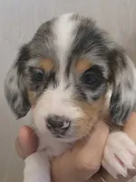 processed/6a403576-fadf-4e6a-b543-a6aab421edbc/listing/1e345c37-4854-497d-a752-1b1d24c73ca7/3c015119-053b-4b95-93d0-2fe2786008cd