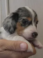 processed/6a403576-fadf-4e6a-b543-a6aab421edbc/listing/1e345c37-4854-497d-a752-1b1d24c73ca7/644e6bad-b75f-4429-adee-91f417621f46