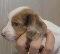 processed/6a403576-fadf-4e6a-b543-a6aab421edbc/listing/73d0b2b1-b4bc-4e87-9ab6-cda817740882/3c10c19f-646a-48ac-827d-89a6cff29eb4