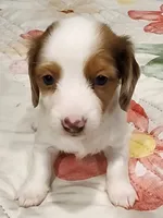 processed/6a403576-fadf-4e6a-b543-a6aab421edbc/listing/73d0b2b1-b4bc-4e87-9ab6-cda817740882/c630ce01-99a7-4e54-8a20-6870adbbfbb7