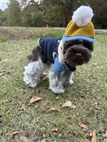LIVER ROAN MEGA COAT MALE, a male Miniature Schnauzer for sale in Peachtree Corners, GA – 4 of 5