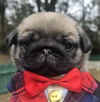 processed/6a437c2e-99e8-4cf1-8e24-1bfd52be7161/listing/36138c85-ecc8-4a23-9cdf-c2c4a3a98d93/289e9b9c-bfc4-4a59-aeef-901a210d884f