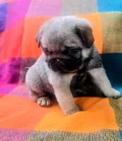 processed/6a437c2e-99e8-4cf1-8e24-1bfd52be7161/listing/36138c85-ecc8-4a23-9cdf-c2c4a3a98d93/c47a4150-c88b-463a-bc1b-518f396280c7