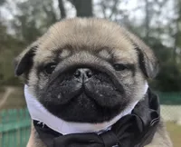 processed/6a437c2e-99e8-4cf1-8e24-1bfd52be7161/listing/9c338292-93b0-4e5b-bab4-1be6bed8b091/286a0f5b-73ae-43cb-8058-e7b7aadc67c4