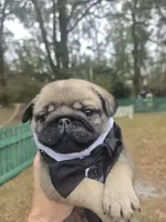 processed/6a437c2e-99e8-4cf1-8e24-1bfd52be7161/listing/9c338292-93b0-4e5b-bab4-1be6bed8b091/f839f9f3-5c43-4932-bbf7-f1d31d6f83f3