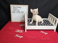 Snow, a female French Bulldog for sale in El Dorado Springs, MO – Photo 1 of 5