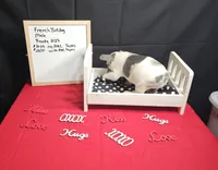 Hoss, a male French Bulldog for sale in El Dorado Springs, MO – Photo 1 of 6