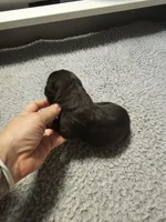 processed/6a598ef5-3919-4348-b4e0-e92a5ead487b/listing/2ac3f500-d579-4d14-8026-63b56d19cbeb/1c59545f-646b-4731-a851-cca07e1192b2