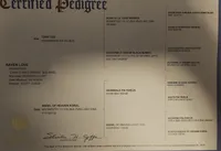 processed/6a598ef5-3919-4348-b4e0-e92a5ead487b/listing/2ac3f500-d579-4d14-8026-63b56d19cbeb/6b5eb99c-bf9d-4d0b-a0b4-9ed63ffb2b54