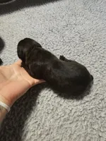 processed/6a598ef5-3919-4348-b4e0-e92a5ead487b/listing/2ac3f500-d579-4d14-8026-63b56d19cbeb/b97a3a8a-d7f5-42e9-aba8-8be19af17888