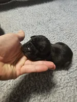 processed/6a598ef5-3919-4348-b4e0-e92a5ead487b/listing/2ac3f500-d579-4d14-8026-63b56d19cbeb/d3225994-e963-47fd-87f9-c574599fca4c