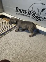 processed/6a598ef5-3919-4348-b4e0-e92a5ead487b/listing/342e64b3-3d04-4bc5-aa86-7930390e04e6/38fdec92-433b-4f59-96ac-03e86c021e08