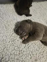 processed/6a598ef5-3919-4348-b4e0-e92a5ead487b/listing/342e64b3-3d04-4bc5-aa86-7930390e04e6/98fcaef0-0a77-4885-b355-35423c74e1d6