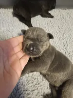 processed/6a598ef5-3919-4348-b4e0-e92a5ead487b/listing/342e64b3-3d04-4bc5-aa86-7930390e04e6/a660ccce-6dad-4ff8-9ae8-4630ec97443e