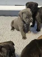 processed/6a598ef5-3919-4348-b4e0-e92a5ead487b/listing/342e64b3-3d04-4bc5-aa86-7930390e04e6/da49e4a9-2bc4-4ef2-8190-e9e536fc3e3c