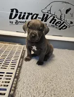 processed/6a598ef5-3919-4348-b4e0-e92a5ead487b/listing/342e64b3-3d04-4bc5-aa86-7930390e04e6/dad97413-40da-432e-876a-cfbe57ca5b3a