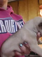 processed/6a598ef5-3919-4348-b4e0-e92a5ead487b/listing/4fcc5aab-bd2e-41b2-bca0-2894724f717f/e5ae3b68-a5a5-4968-a051-614ab95f4c54