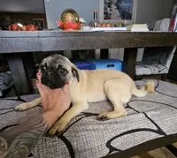 processed/6a598ef5-3919-4348-b4e0-e92a5ead487b/listing/570d5aee-e519-4c04-82c3-f2d18df95b30/2b6db0e6-4a99-453d-a44f-a48d640f06d6