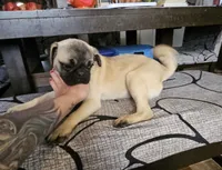 processed/6a598ef5-3919-4348-b4e0-e92a5ead487b/listing/570d5aee-e519-4c04-82c3-f2d18df95b30/3adbd09c-20dc-41cd-b149-a00654953877