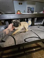 processed/6a598ef5-3919-4348-b4e0-e92a5ead487b/listing/570d5aee-e519-4c04-82c3-f2d18df95b30/dcc2c929-7048-4a98-a76a-3010b2cb0a44