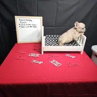 Moon, a female French Bulldog for sale in Kansas City, MO – Photo 1 of 5