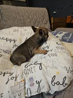 processed/6a598ef5-3919-4348-b4e0-e92a5ead487b/listing/fbae29bf-d8fd-418d-9451-4ec2de001b7b/241e172e-1c13-4c3f-9b29-7ce1143486c3