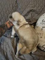 processed/6a598ef5-3919-4348-b4e0-e92a5ead487b/listing/fbae29bf-d8fd-418d-9451-4ec2de001b7b/255486c5-ebf7-47ee-ba23-558f89cfde44