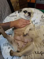 processed/6a598ef5-3919-4348-b4e0-e92a5ead487b/listing/fbae29bf-d8fd-418d-9451-4ec2de001b7b/330d22a5-de72-42e1-a3c3-d3b0c0be7620