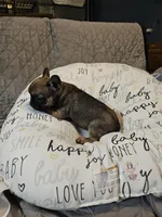 processed/6a598ef5-3919-4348-b4e0-e92a5ead487b/listing/fbae29bf-d8fd-418d-9451-4ec2de001b7b/7aed360b-1e95-4600-987f-8cc19a3358fb