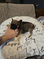 processed/6a598ef5-3919-4348-b4e0-e92a5ead487b/listing/fbae29bf-d8fd-418d-9451-4ec2de001b7b/a1adeab0-7d44-4574-b39d-41af85f598ab