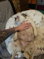 processed/6a598ef5-3919-4348-b4e0-e92a5ead487b/listing/fbae29bf-d8fd-418d-9451-4ec2de001b7b/e0999372-7b95-4e17-9d8b-99c47a8e8b26