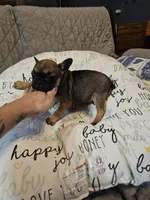 processed/6a598ef5-3919-4348-b4e0-e92a5ead487b/listing/fbae29bf-d8fd-418d-9451-4ec2de001b7b/ea0f6906-2379-4aaf-9e85-f58795498038