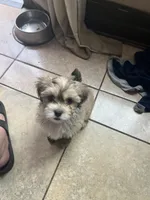 processed/6a5a1c6e-99c7-4b35-98cf-1b4beaeef44e/listing/7b1bf143-63f7-4654-8d97-2716898022c5/76de1c8b-36a8-42f1-a7a0-360afca0a8ce