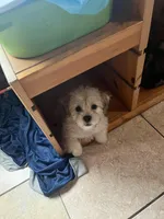 processed/6a5a1c6e-99c7-4b35-98cf-1b4beaeef44e/listing/b89980e3-363c-4bf5-b16b-eb1ef5b3761a/c1e41306-d5e1-402f-9908-6e3cf0565f26