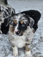 processed/6a608919-951b-4b35-b4f2-735fb90d776b/listing/3bc75f4c-3ac0-4ea1-b3c0-85f2ab430909/873d3995-c27b-4f56-931f-47ff8167569f