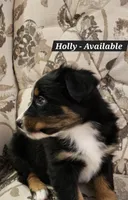 processed/6a608919-951b-4b35-b4f2-735fb90d776b/listing/7863ba89-23aa-4b8a-902c-e32f0b03bf4e/07fe31c6-dad6-4d01-9874-b38c3073046e