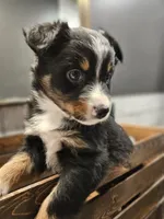 processed/6a608919-951b-4b35-b4f2-735fb90d776b/listing/7863ba89-23aa-4b8a-902c-e32f0b03bf4e/71d96dcd-491f-4d86-b8ce-a88dca0184a6