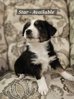 processed/6a608919-951b-4b35-b4f2-735fb90d776b/listing/cd121039-0207-43e4-aa43-63378cd833c2/4dbe4180-47e1-40d7-874e-9a4ddda81dff