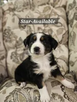 processed/6a608919-951b-4b35-b4f2-735fb90d776b/listing/cd121039-0207-43e4-aa43-63378cd833c2/5f95e40c-edfa-4ab3-aedb-20b130105386