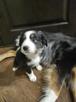 processed/6a608919-951b-4b35-b4f2-735fb90d776b/listing/cd121039-0207-43e4-aa43-63378cd833c2/6dfd307c-a7df-4cc4-88ea-97a62e8c23f4